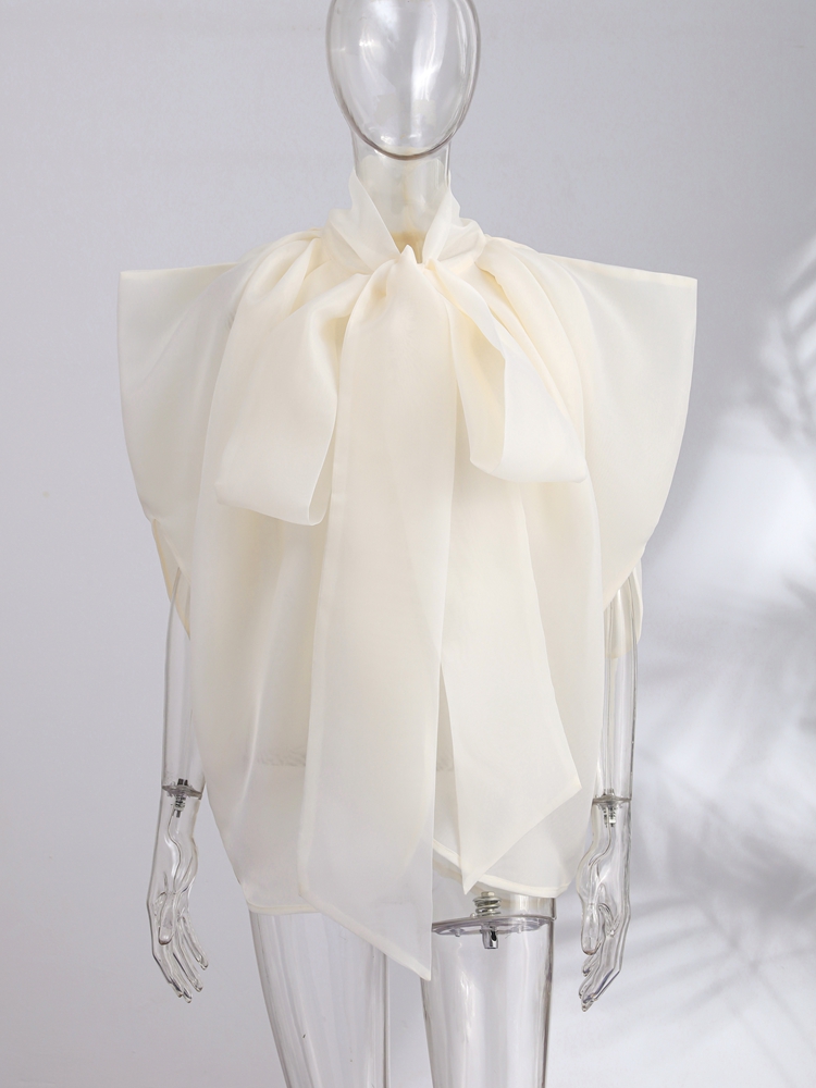 Haut sans manches élégant pour - Wrap Blouse Chiffon avis et prix